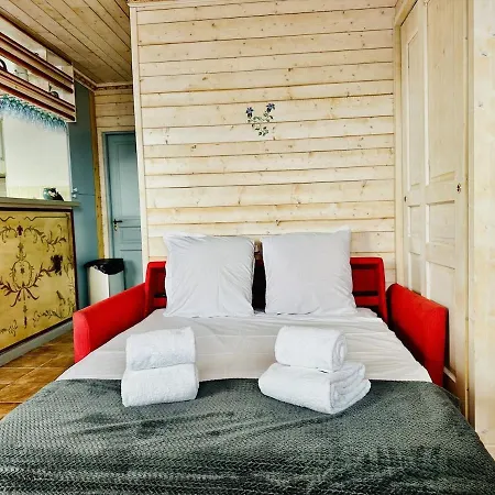 New Ski-in Ski-out 1 Bedroom In Apartment